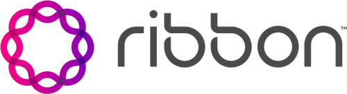 Ribbon Logo 1Technology Partners | Numonix